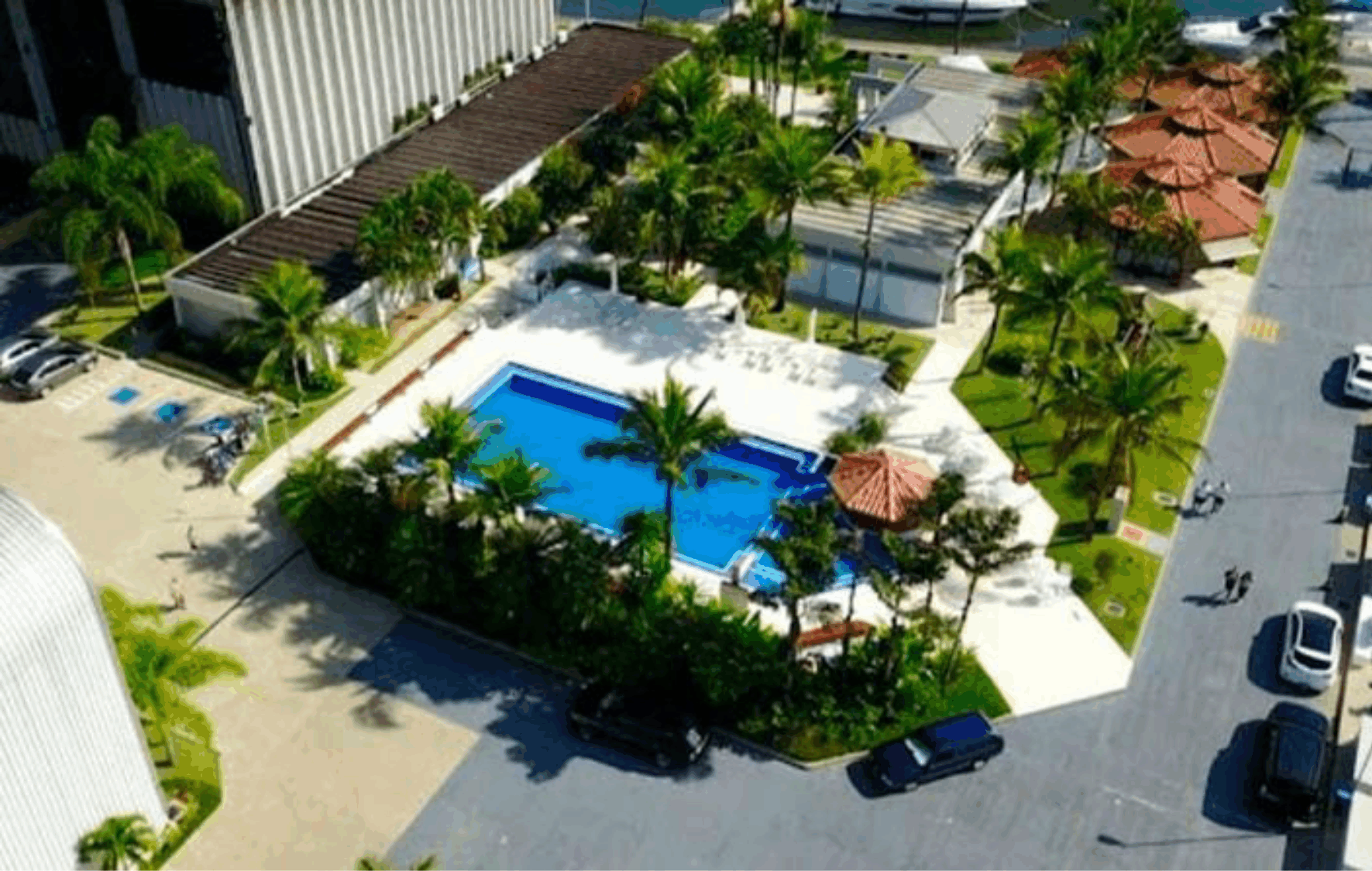 Revista Ano1_revisada.png